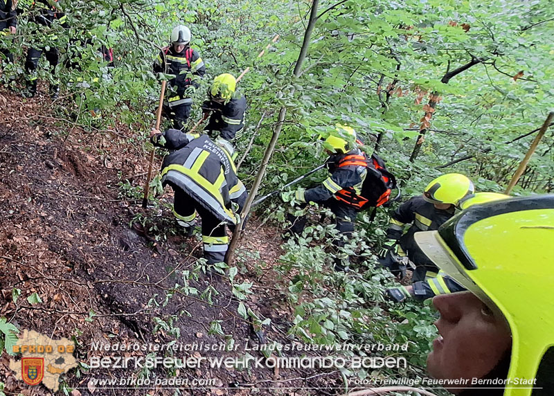 20260801_Blitzschlag l�st Waldbrand am Guglzipf aus  Foto: Florian Stadler FF Berndorf-Stadt