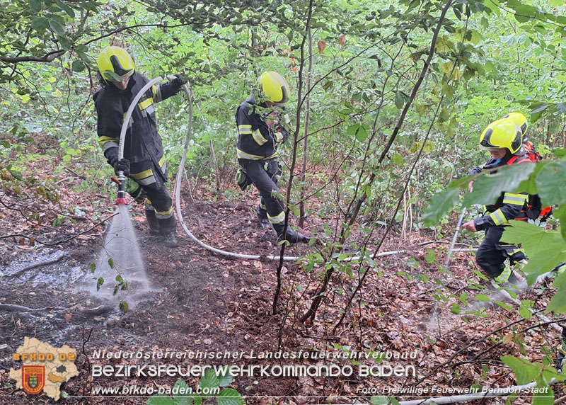 20260801_Blitzschlag l�st Waldbrand am Guglzipf aus  Foto: Florian Stadler FF Berndorf-Stadt