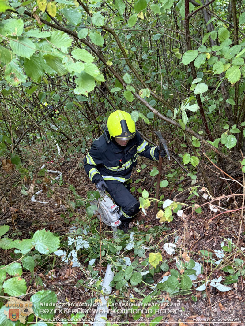 20260801_Blitzschlag l�st Waldbrand am Guglzipf aus  Foto: Stefan Schneider BFKDO BADEN