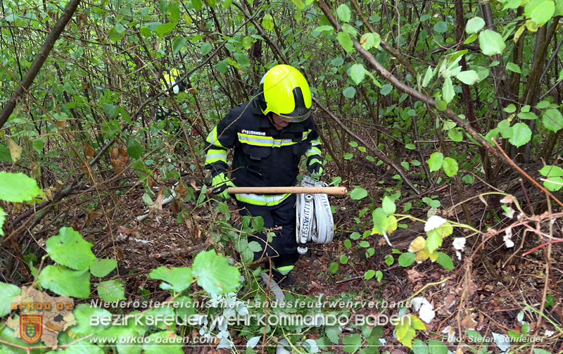 20260801_Blitzschlag l�st Waldbrand am Guglzipf aus  Foto: Stefan Schneider BFKDO BADEN