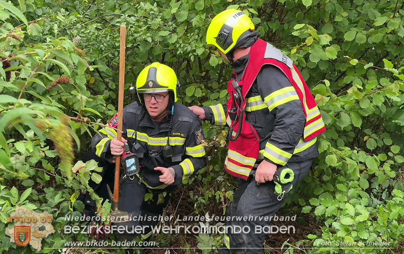 20260801_Blitzschlag l�st Waldbrand am Guglzipf aus  Foto: Stefan Schneider BFKDO BADEN