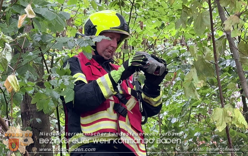 20260801_Blitzschlag l�st Waldbrand am Guglzipf aus  Foto: Stefan Schneider BFKDO BADEN