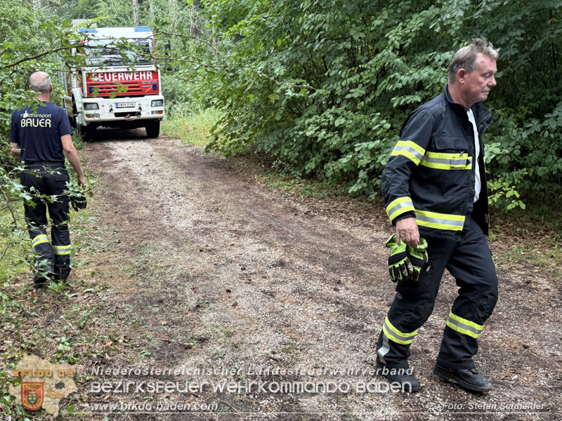 20260801_Blitzschlag l�st Waldbrand am Guglzipf aus  Foto: Stefan Schneider BFKDO BADEN