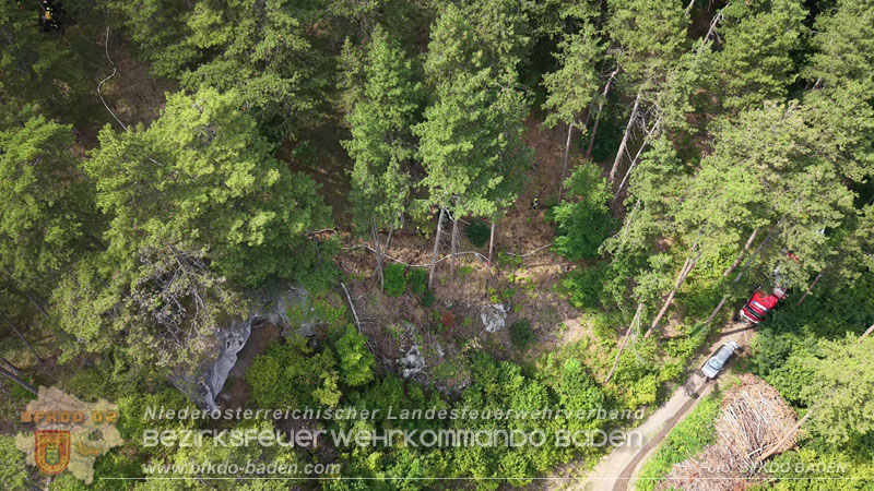 20260802_Waldbrand im Gemeindegebiet Furth an der Triesting