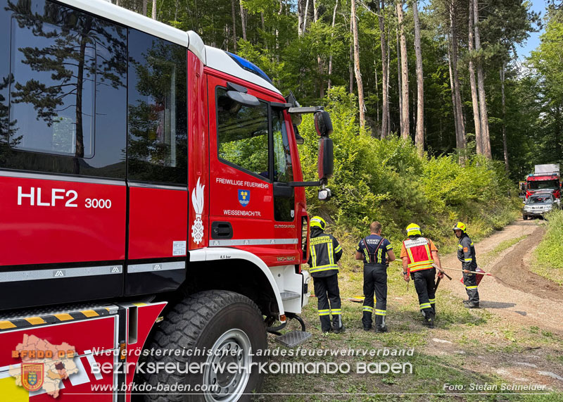20260802_Waldbrand im Gemeindegebiet Furth an der Triesting