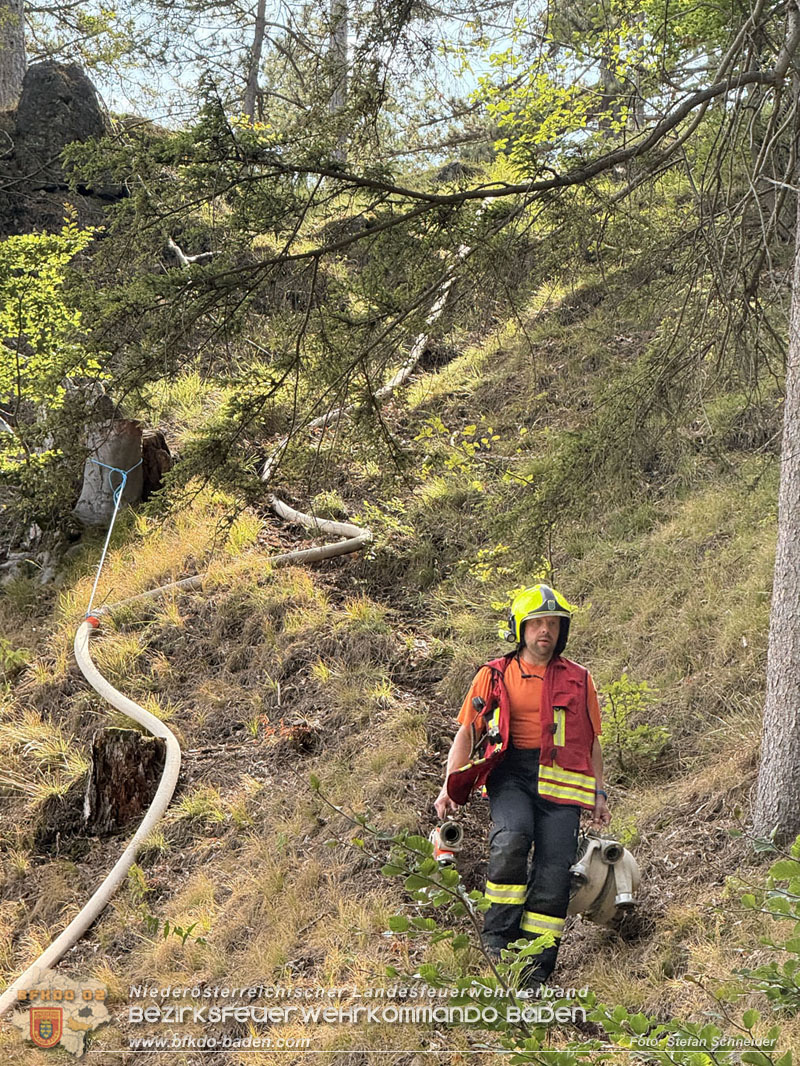20260802_Waldbrand im Gemeindegebiet Furth an der Triesting