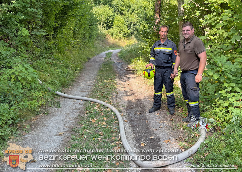 20260802_Waldbrand im Gemeindegebiet Furth an der Triesting