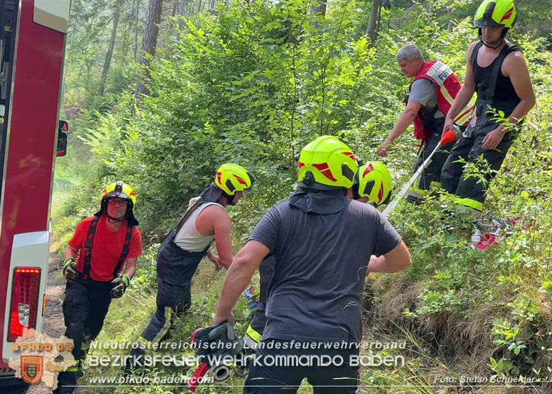 20260802_Waldbrand im Gemeindegebiet Furth an der Triesting