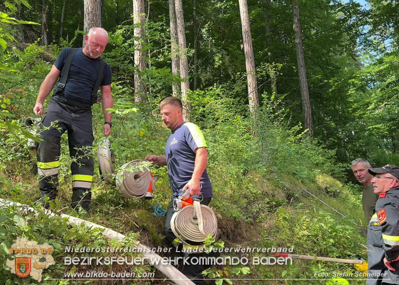 20260802_Waldbrand im Gemeindegebiet Furth an der Triesting