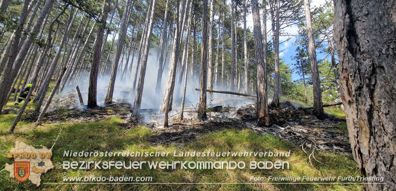 20260802_Waldbrand im Gemeindegebiet Furth an der Triesting