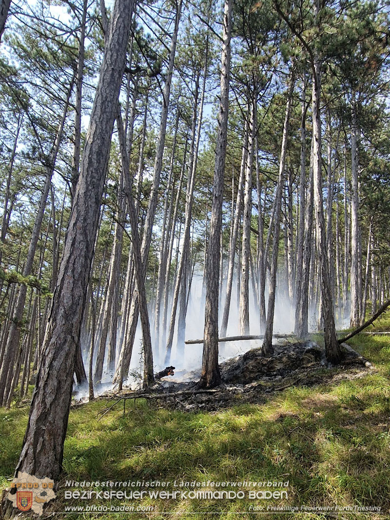 20260802_Waldbrand im Gemeindegebiet Furth an der Triesting