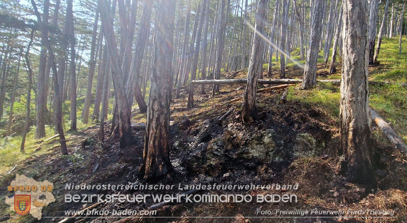 20260802_Waldbrand im Gemeindegebiet Furth an der Triesting