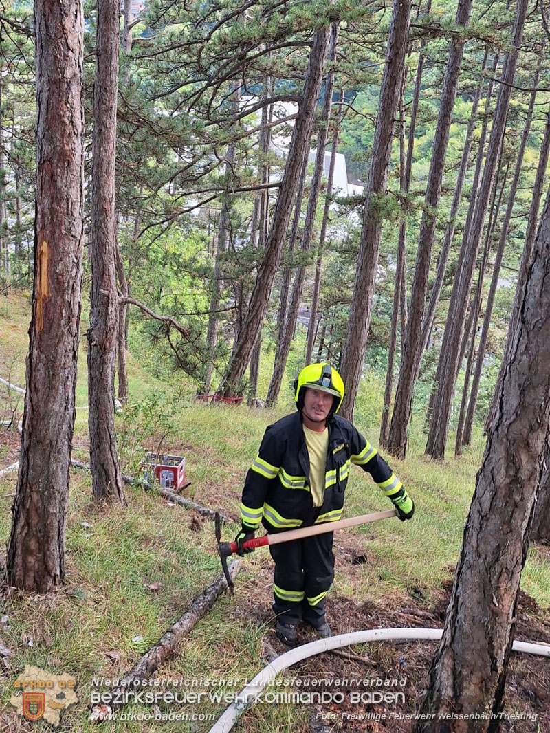 20260802_Waldbrand im Gemeindegebiet Furth an der Triesting