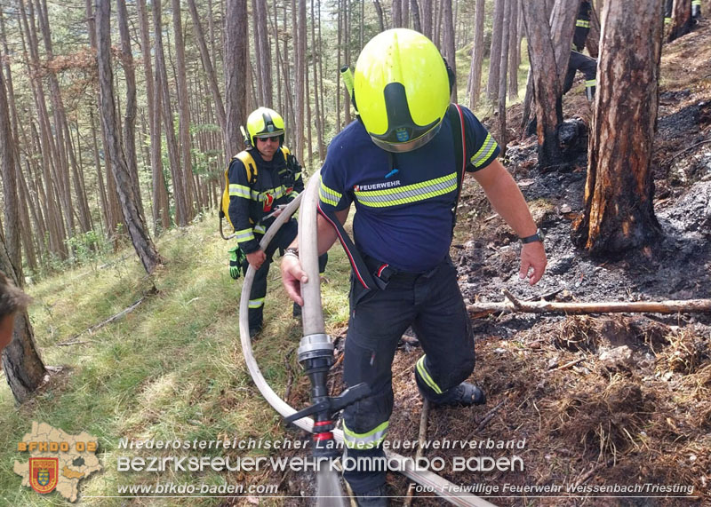 20260802_Waldbrand im Gemeindegebiet Furth an der Triesting