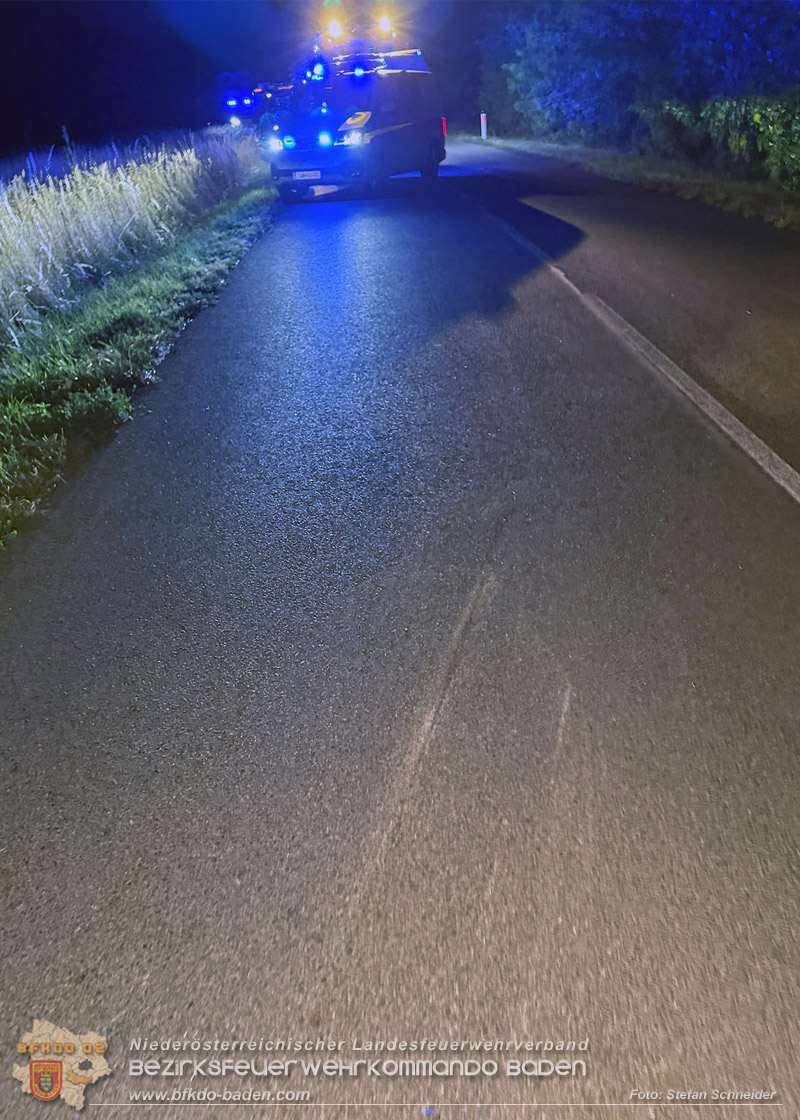20260812_Verkehrsunfall miet einem SUV auf der Leesdorferstra�e bei Tribuswinkel - Foto: Stefan Schneider BFKDO BADEN