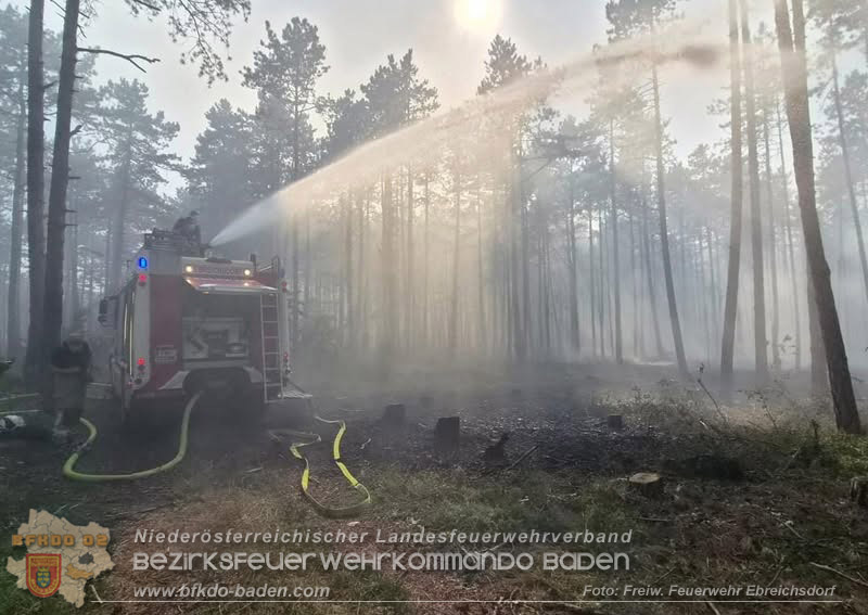 20260814-15_Kr&auml;fte aus dem Bezirk BADEN unterst&uuml;tzen wieder beim erneuten Brand im F&ouml;hrenwald St.Egyd am Steinfeld im Bezirk Neunkirchen