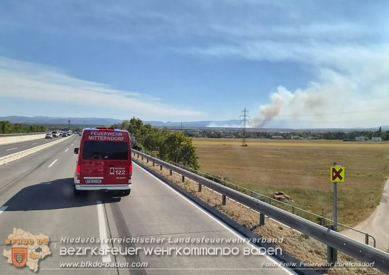 20260814-15_Kr&auml;fte aus dem Bezirk BADEN unterst&uuml;tzen wieder beim erneuten Brand im F&ouml;hrenwald St.Egyd am Steinfeld im Bezirk Neunkirchen