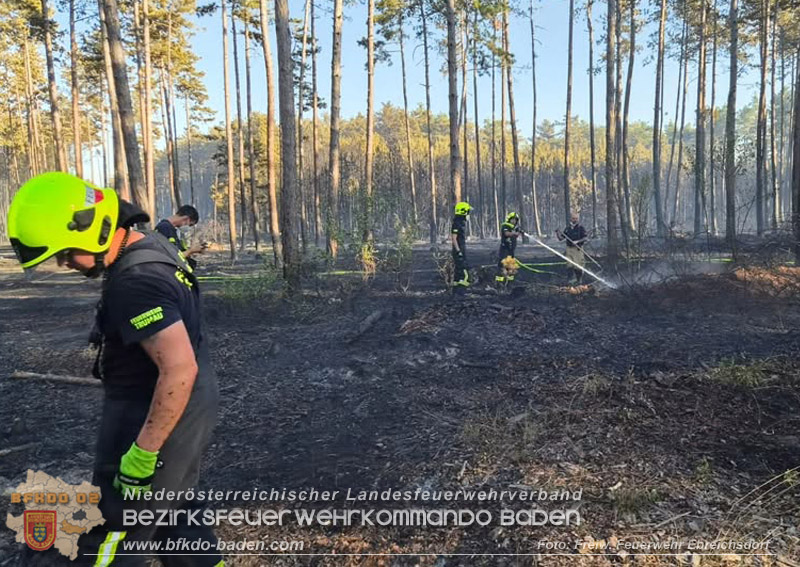 20260814-15_Kr&auml;fte aus dem Bezirk BADEN unterst&uuml;tzen wieder beim erneuten Brand im F&ouml;hrenwald St.Egyd am Steinfeld im Bezirk Neunkirchen