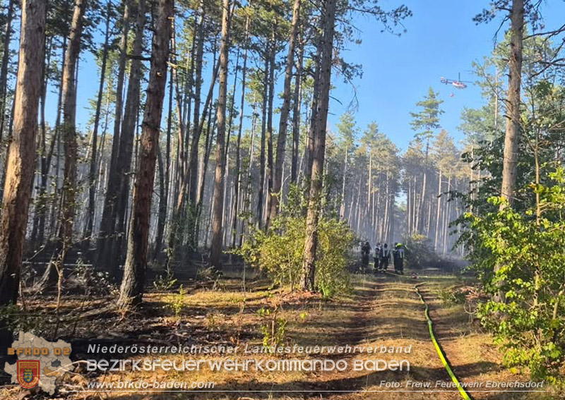20260814-15_Kr&auml;fte aus dem Bezirk BADEN unterst&uuml;tzen wieder beim erneuten Brand im F&ouml;hrenwald St.Egyd am Steinfeld im Bezirk Neunkirchen