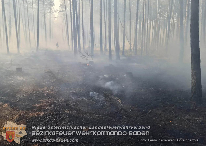 20260814-15_Kr&auml;fte aus dem Bezirk BADEN unterst&uuml;tzen wieder beim erneuten Brand im F&ouml;hrenwald St.Egyd am Steinfeld im Bezirk Neunkirchen