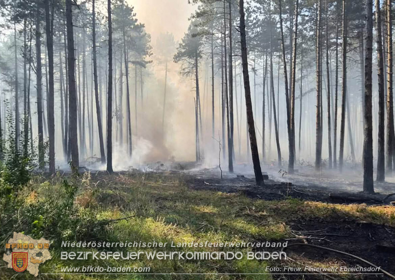 20260814-15_Kr&auml;fte aus dem Bezirk BADEN unterst&uuml;tzen wieder beim erneuten Brand im F&ouml;hrenwald St.Egyd am Steinfeld im Bezirk Neunkirchen