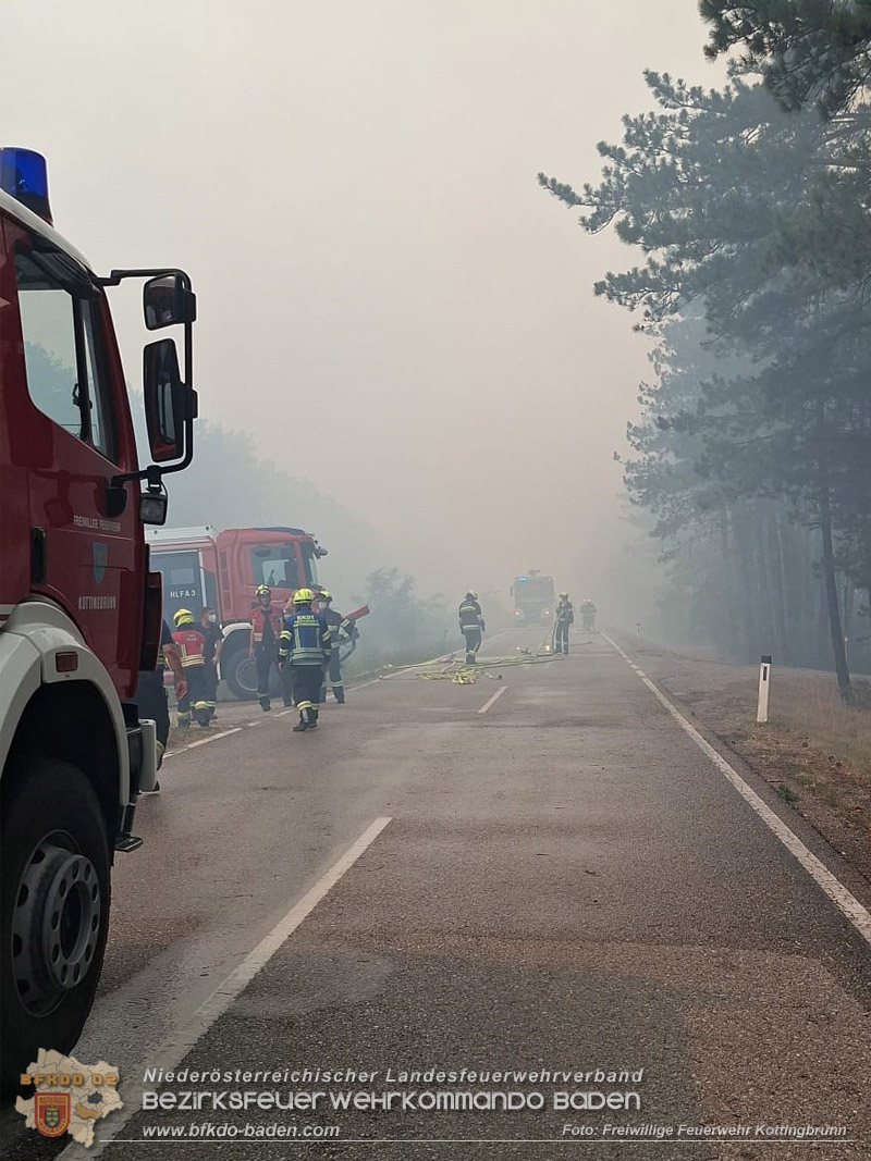 20260814-15_Kr&auml;fte aus dem Bezirk BADEN unterst&uuml;tzen wieder beim erneuten Brand im F&ouml;hrenwald St.Egyd am Steinfeld im Bezirk Neunkirchen