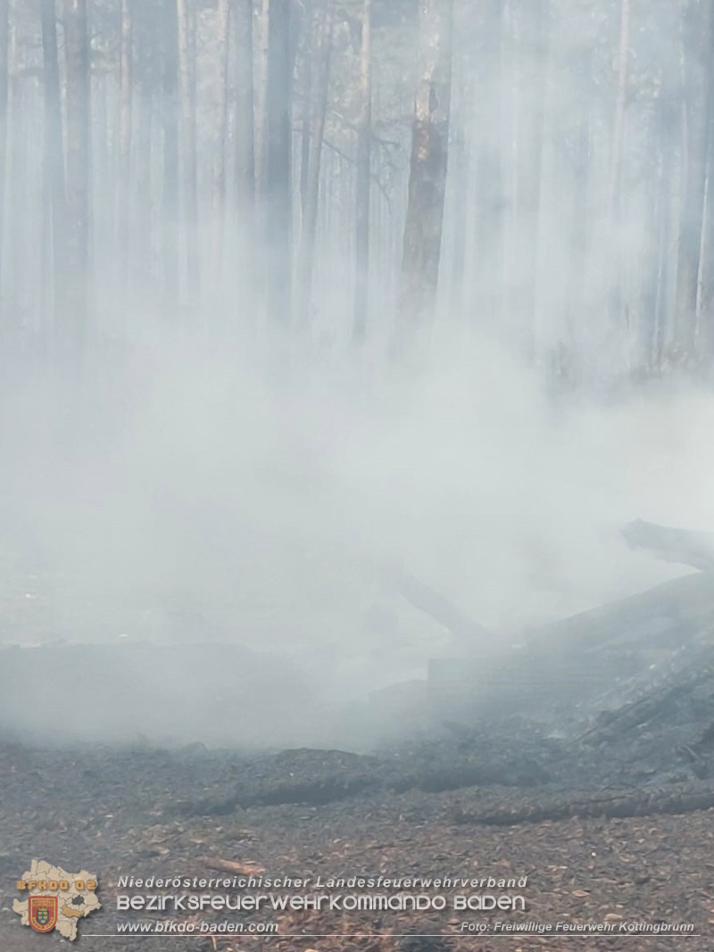 20260814-15_Kr&auml;fte aus dem Bezirk BADEN unterst&uuml;tzen wieder beim erneuten Brand im F&ouml;hrenwald St.Egyd am Steinfeld im Bezirk Neunkirchen