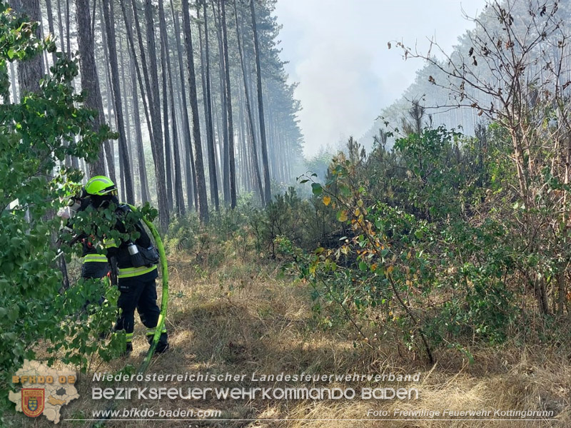 20260814-15_Kr&auml;fte aus dem Bezirk BADEN unterst&uuml;tzen wieder beim erneuten Brand im F&ouml;hrenwald St.Egyd am Steinfeld im Bezirk Neunkirchen
