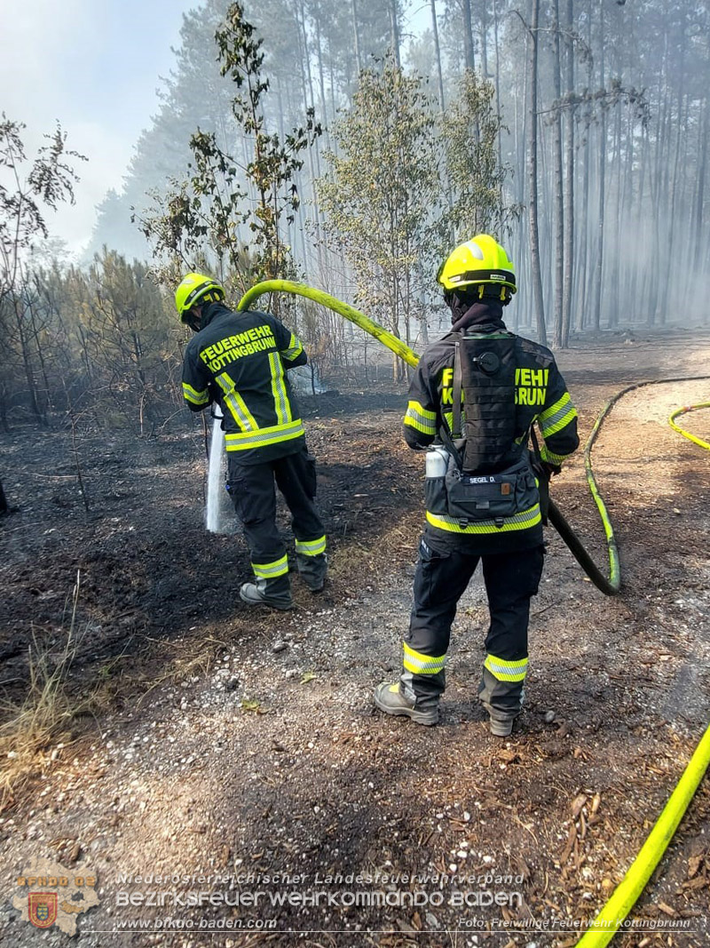 20260814-15_Kr&auml;fte aus dem Bezirk BADEN unterst&uuml;tzen wieder beim erneuten Brand im F&ouml;hrenwald St.Egyd am Steinfeld im Bezirk Neunkirchen