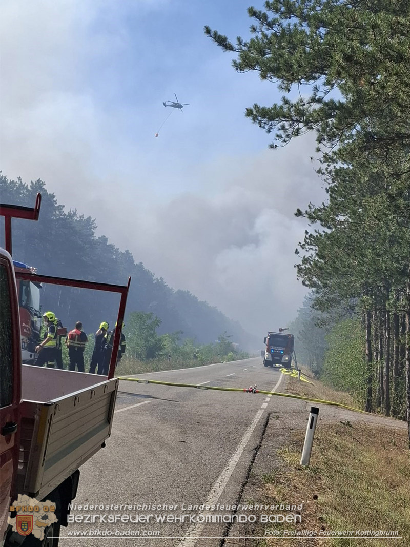 20260814-15_Kr&auml;fte aus dem Bezirk BADEN unterst&uuml;tzen wieder beim erneuten Brand im F&ouml;hrenwald St.Egyd am Steinfeld im Bezirk Neunkirchen