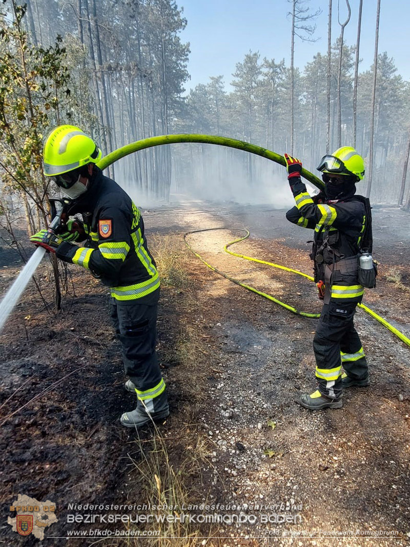 20260814-15_Kr&auml;fte aus dem Bezirk BADEN unterst&uuml;tzen wieder beim erneuten Brand im F&ouml;hrenwald St.Egyd am Steinfeld im Bezirk Neunkirchen