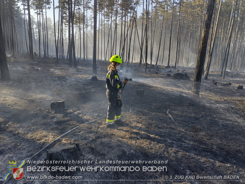 20260814-15_Kr&auml;fte aus dem Bezirk BADEN unterst&uuml;tzen wieder beim erneuten Brand im F&ouml;hrenwald St.Egyd am Steinfeld im Bezirk Neunkirchen