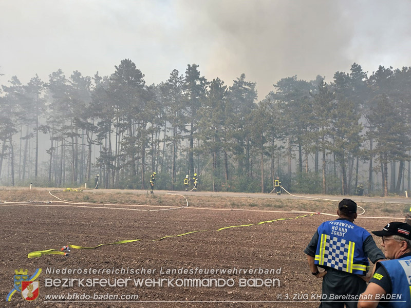 20260814-15_Kr&auml;fte aus dem Bezirk BADEN unterst&uuml;tzen wieder beim erneuten Brand im F&ouml;hrenwald St.Egyd am Steinfeld im Bezirk Neunkirchen