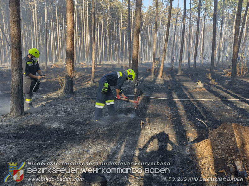 20260814-15_Kr&auml;fte aus dem Bezirk BADEN unterst&uuml;tzen wieder beim erneuten Brand im F&ouml;hrenwald St.Egyd am Steinfeld im Bezirk Neunkirchen