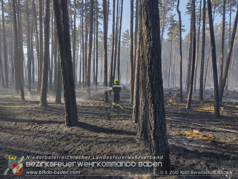 20260814-15_Kr&auml;fte aus dem Bezirk BADEN unterst&uuml;tzen wieder beim erneuten Brand im F&ouml;hrenwald St.Egyd am Steinfeld im Bezirk Neunkirchen