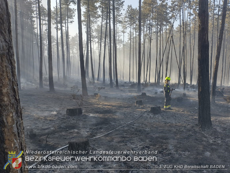 20260814-15_Kr&auml;fte aus dem Bezirk BADEN unterst&uuml;tzen wieder beim erneuten Brand im F&ouml;hrenwald St.Egyd am Steinfeld im Bezirk Neunkirchen