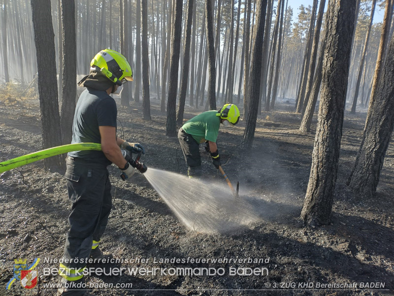 20260814-15_Kr&auml;fte aus dem Bezirk BADEN unterst&uuml;tzen wieder beim erneuten Brand im F&ouml;hrenwald St.Egyd am Steinfeld im Bezirk Neunkirchen
