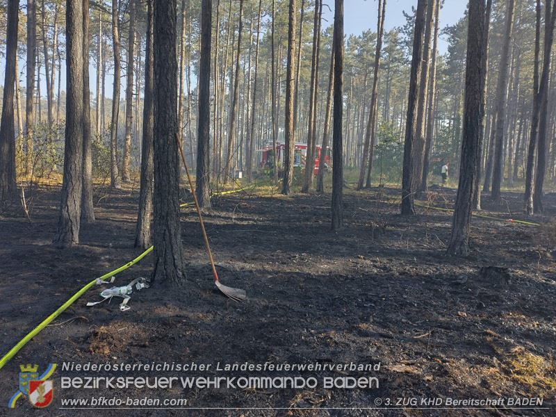 20260814-15_Kr&auml;fte aus dem Bezirk BADEN unterst&uuml;tzen wieder beim erneuten Brand im F&ouml;hrenwald St.Egyd am Steinfeld im Bezirk Neunkirchen