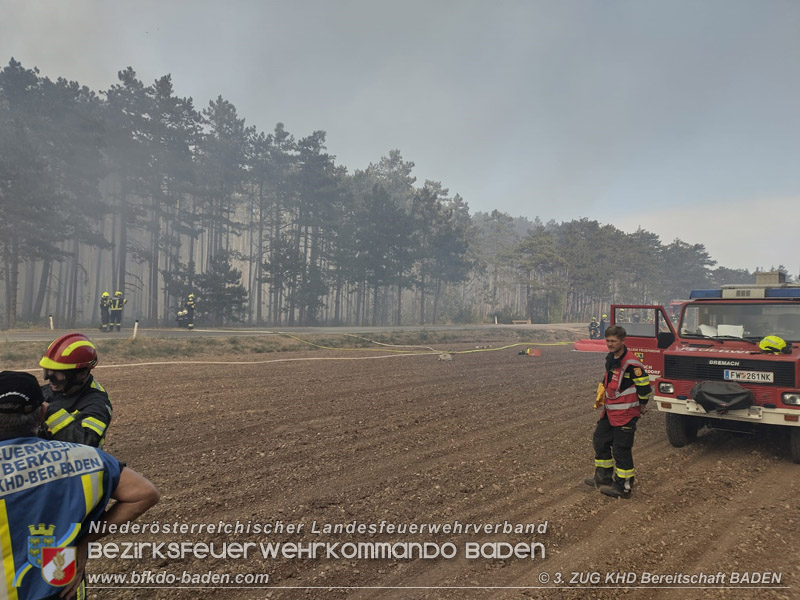 20260814-15_Kr&auml;fte aus dem Bezirk BADEN unterst&uuml;tzen wieder beim erneuten Brand im F&ouml;hrenwald St.Egyd am Steinfeld im Bezirk Neunkirchen
