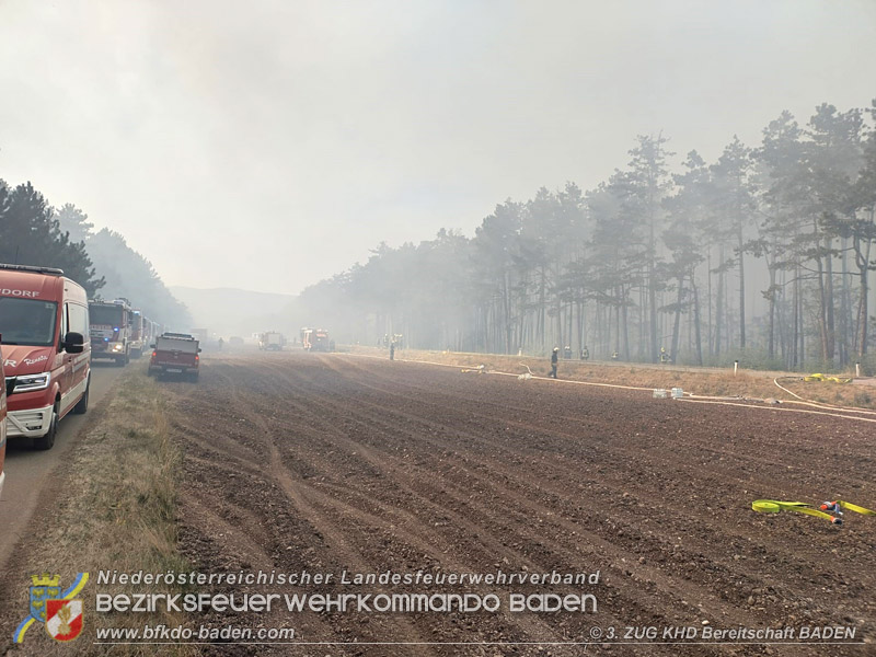 20260814-15_Kr&auml;fte aus dem Bezirk BADEN unterst&uuml;tzen wieder beim erneuten Brand im F&ouml;hrenwald St.Egyd am Steinfeld im Bezirk Neunkirchen
