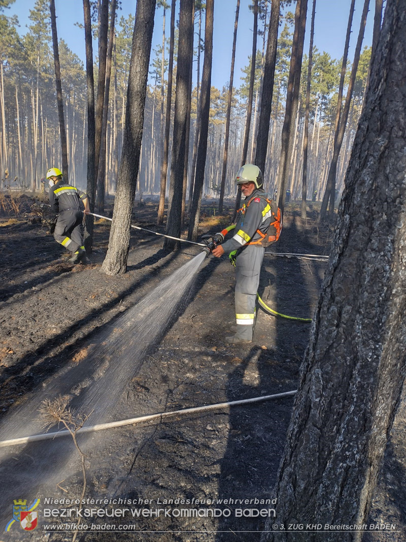 20260814-15_Kr&auml;fte aus dem Bezirk BADEN unterst&uuml;tzen wieder beim erneuten Brand im F&ouml;hrenwald St.Egyd am Steinfeld im Bezirk Neunkirchen