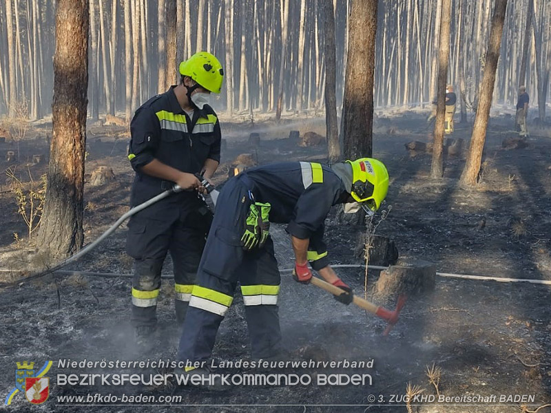20260814-15_Kr&auml;fte aus dem Bezirk BADEN unterst&uuml;tzen wieder beim erneuten Brand im F&ouml;hrenwald St.Egyd am Steinfeld im Bezirk Neunkirchen