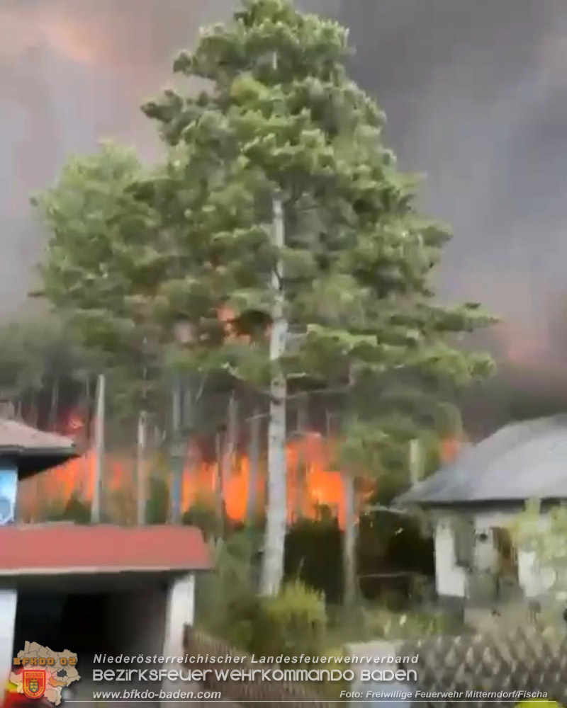 20260814-15_Kr&auml;fte aus dem Bezirk BADEN unterst&uuml;tzen wieder beim erneuten Brand im F&ouml;hrenwald St.Egyd am Steinfeld im Bezirk Neunkirchen