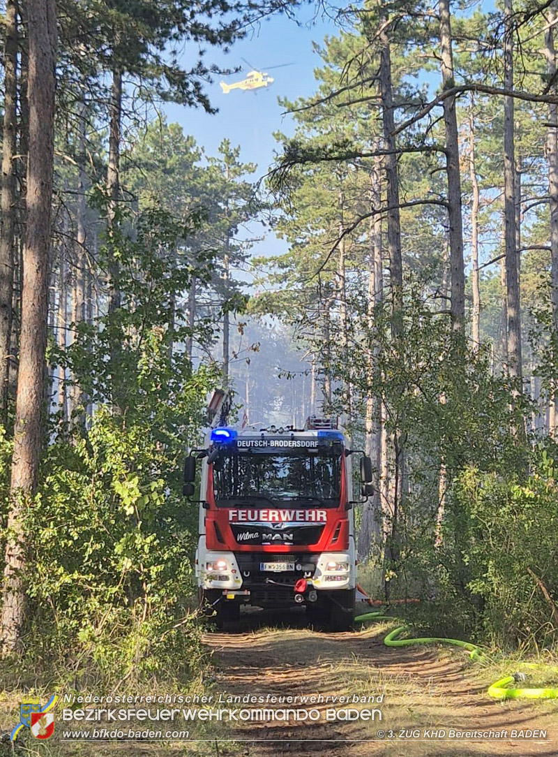20260814-15_Kr&auml;fte aus dem Bezirk BADEN unterst&uuml;tzen wieder beim erneuten Brand im F&ouml;hrenwald St.Egyd am Steinfeld im Bezirk Neunkirchen