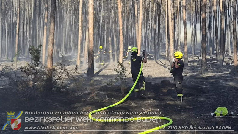 20260814-15_Kr&auml;fte aus dem Bezirk BADEN unterst&uuml;tzen wieder beim erneuten Brand im F&ouml;hrenwald St.Egyd am Steinfeld im Bezirk Neunkirchen