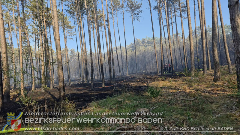 20260814-15_Kr&auml;fte aus dem Bezirk BADEN unterst&uuml;tzen wieder beim erneuten Brand im F&ouml;hrenwald St.Egyd am Steinfeld im Bezirk Neunkirchen