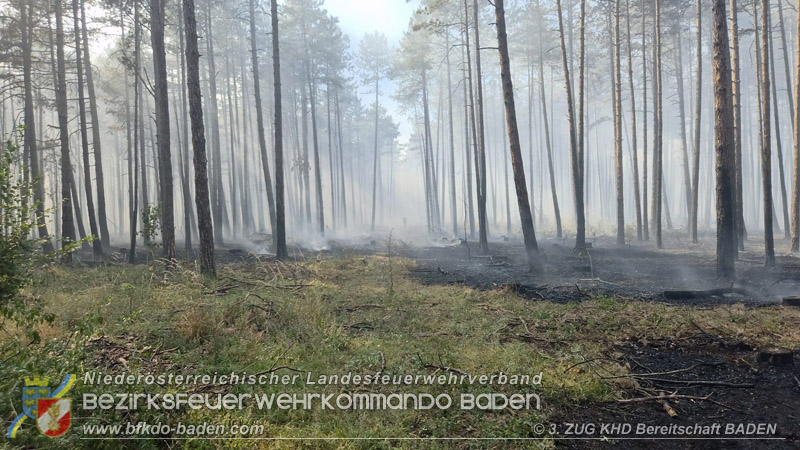 20260814-15_Kr&auml;fte aus dem Bezirk BADEN unterst&uuml;tzen wieder beim erneuten Brand im F&ouml;hrenwald St.Egyd am Steinfeld im Bezirk Neunkirchen