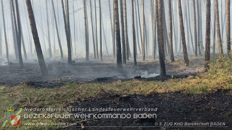20260814-15_Kr&auml;fte aus dem Bezirk BADEN unterst&uuml;tzen wieder beim erneuten Brand im F&ouml;hrenwald St.Egyd am Steinfeld im Bezirk Neunkirchen