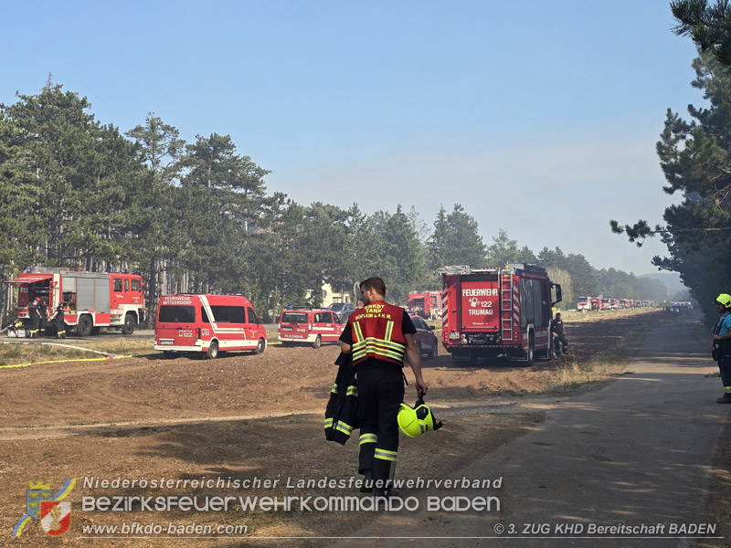 20260814-15_Kr&auml;fte aus dem Bezirk BADEN unterst&uuml;tzen wieder beim erneuten Brand im F&ouml;hrenwald St.Egyd am Steinfeld im Bezirk Neunkirchen