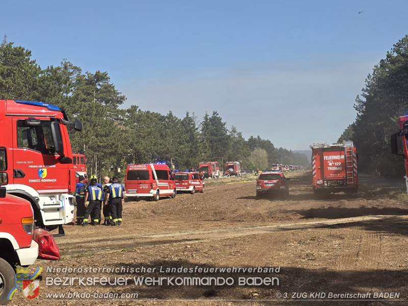 20260814-15_Kr&auml;fte aus dem Bezirk BADEN unterst&uuml;tzen wieder beim erneuten Brand im F&ouml;hrenwald St.Egyd am Steinfeld im Bezirk Neunkirchen
